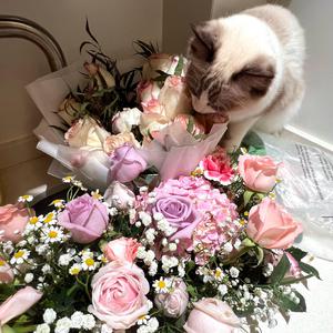 裸体寡妇一级A片免费看裸体图片
